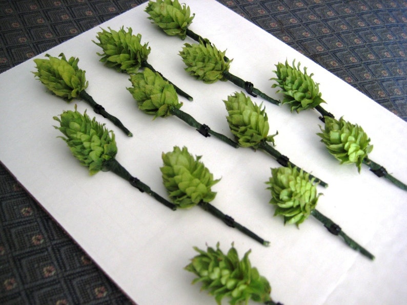 Beer Boutonniere Hops 10 Prewired Hops Cones wStems Ready for Boutonnieres Brewery Wedding Hops Cones DIY Boutonniere Hops for Weddings