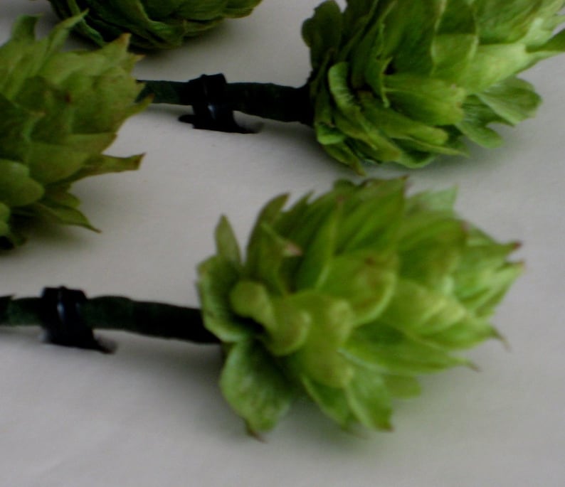 Beer Boutonniere Hops 10 Prewired Hops Cones wStems Ready for Boutonnieres Brewery Wedding Hops Cones DIY Boutonniere Hops for Weddings