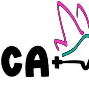 May include: A graphic design with the letters BRCA in bold black font. A plus sign is next to the A. Above the plus sign is a pink and teal butterfly design. A black heartbeat line is below the butterfly design.