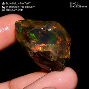 Könnte beinhalten: Ein roher, ungeschliffener schwarzer Opal-Edelstein mit lebendigen grünen, orangefarbenen und roten Farbblitzen. Der Edelstein wird in einer Hand gehalten, was seine natürliche, unregelmäßige Form zeigt. Der Text "Crystal Rough Shop" ist sichtbar. Misst 28x22x19 mm.