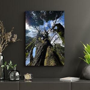 May include: A white ceramic mug with a black handle and the text "But First, Coffee" in a black, bold font. The mug is on a white surface.