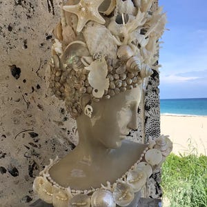 Venus, Goddess of the Sea  with Natural  Shells WHITE