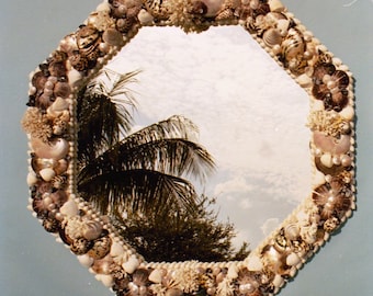 Octagonal Sea Shell Mirror in Black and White