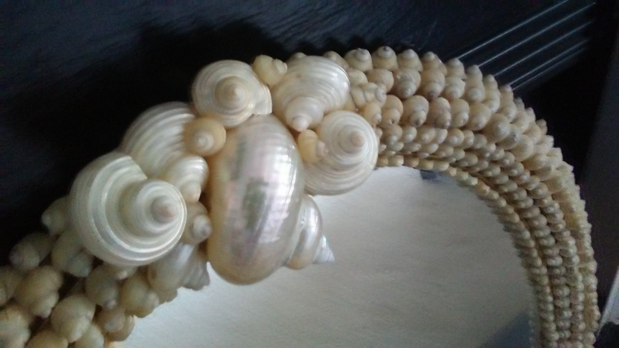 White on White Oval Mirror +Giant Turbos  Sea Shells