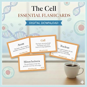 May include: A set of flashcards titled "The Cell Essential Flashcards" with the words "Digital Download" on a light blue background. The flashcards are orange-bordered and feature terms like "Atom," "Cell," "Nucleus," and "Mitorchoitoria." A white mug of coffee is on the right.