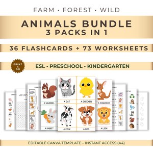 子供向けESL動物ワークシートセット｜フラッシュカード＋アクティビティ｜幼稚園・保育園向け英語学習プリント（PDF）