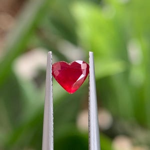 Può includere: Una gemma rosso vivo a forma di cuore, tenuta saldamente tra le punte seghettate di una pinzetta in metallo argentato. La pietra sfaccettata mostra una brillante tonalità cremisi traslucida con tagli geometrici che riflettono la luce.