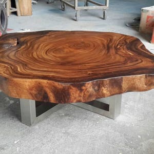 Coffee Table Round Live Edge Golden Acacia Wood Solid Cross Cut Slab 42"x 48"x 17.5" In Diameter With Stainless Steel Leg Base (Custom Made)