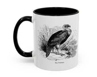 Coffee Mugs Vintage Illustrations Vulture and Honey Buzzard. Bird of Prey Coffee Cup. 19th c Engraved images. Gift for Nature Lovers