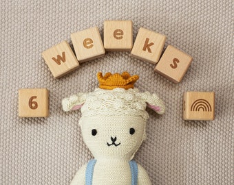 Wooden Baby Age Letter Blocks / Milestone Blocks / Milestone Photography