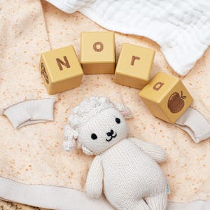 Wooden Baby Name Blocks (One Colour Set)
