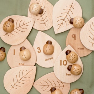 Wooden Counting Ladybirds and Number Leaves Set image 1