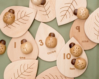 Wooden Counting Ladybirds and Number Leaves Set