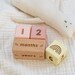 Wooden Baby Milestone Blocks (Custom Colours) / Milestone Cards / Age Blocks / Month Blocks / Photo Blocks 