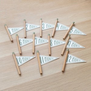 Mini fanions jalons 1-12 mois/Marques jalons/Cartes jalons mensuels/Bébé jalon