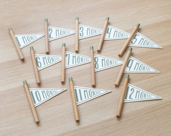 1-12 Months Mini Milestone Pennant Flags / Milestone Markers / Monthly Milestone Cards / Baby Milestone