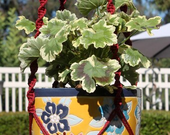 HELIX - Crimson Macrame Plant Hanger with Wood Beads - 4mm Braided Poly Cord in WINE