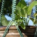 see more listings in the Macrame Plant Hangers section