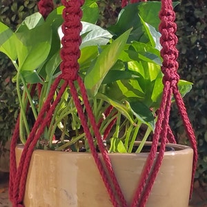 May include: A red macrame plant hanger with a terracotta pot and a green plant inside.