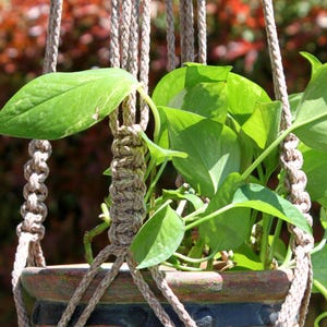 May include: A macrame plant hanger with three strands of rope and wooden beads. The hanger is holding a terracotta pot with a colorful, geometric design. A green plant is growing out of the pot.