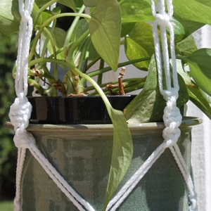 May include: A hanging plant pot with a green ceramic pot and a white macrame plant hanger. The pot holds a green leafy plant. The macrame hanger is made of thick, white rope and is knotted to hold the pot securely.