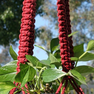 Puede incluir: Un macetero colgante de macramé de color rojo intenso, con una maceta de cerámica que contiene plantas verdes de hojas. El macramé tiene cuentas de madera y un diseño decorativo. La maceta es amarilla con un diseño floral.