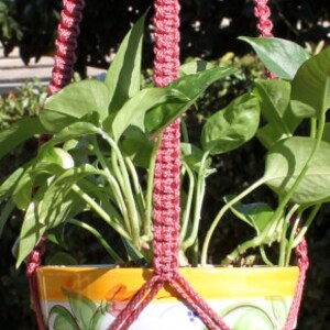 CLASSIC Pink Macramé Plant Hanger with Wood Beads 4mm Braided Poly Cord in ROSE image 2