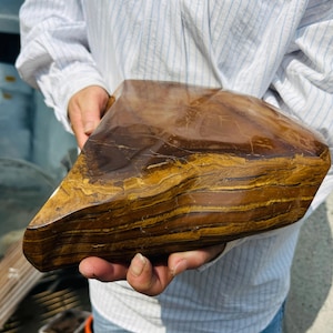 May include: A large, polished tiger's eye stone with rich brown and gold bands. The stone has a smooth, glossy surface and a unique, natural shape. The gemstone is held in front of a white and blue striped shirt.
