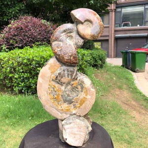 May include: A large, vertical fossilized ammonite specimen featuring a spiral shell structure with intricate, multi-colored patterns in shades of brown, tan, cream, and grey. The fossil displays a polished surface with visible chambers and segments.