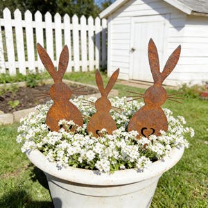 Könnte beinhalten: Drei rostige Metall-Kaninchen-Gartendekorationen mit langen Ohren und Schnurrhaaren, platziert in einem weißen Blumentopf, der mit kleinen weißen Blumen gefüllt ist. Der Topf befindet sich in einem Garten mit weißem Zaun und Schuppen im Hintergrund.