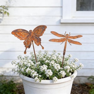 May include: Two rusty metal garden stakes: a butterfly and a dragonfly. The butterfly has detailed wing cutouts. The dragonfly has outstretched wings. Both are inserted into a white flower pot filled with small white flowers.