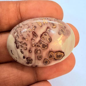 Cabochon ovale di diaspro a chicco di caffè naturale: gemma con motivo a sfera color crema-marrone, ideale per la creazione di gioielli.