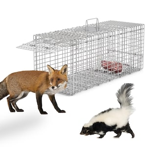The 1Pc Humane Cat Trap Cage Catch Release Live Animal Rodent Cage Collapsible Galvanized Wire For Raccoons Beavers Groundhogs Foxes Armadil