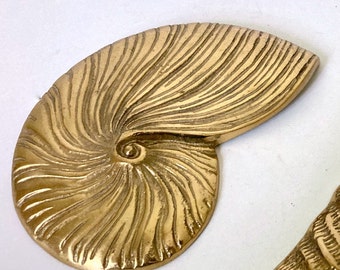heavy polished brass nautilus shell, vintage seashell wall art or  paperweight