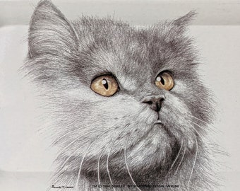 Bandeja de gato de hojalata Vintage Massilly France