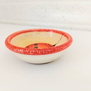 May include: A small, white ceramic bowl with a red rim and a painted ladybug design. The bowl is perfect for serving small snacks or dips.