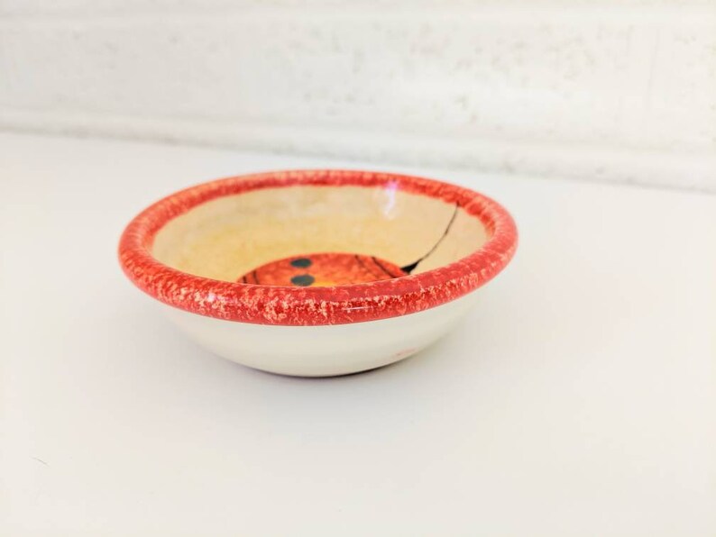 May include: A small, white ceramic bowl with a red rim and a painted ladybug design. The bowl is perfect for serving small snacks or dips.