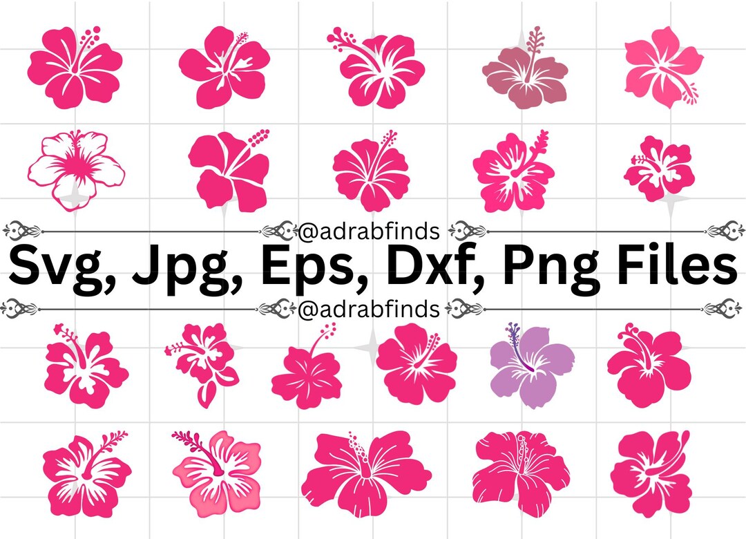 Hibiscus Flowers SVG Bundle, Hibiscus Flowers Svg, Tropical Flower Svg ...