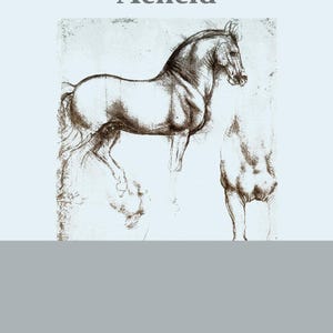 Die Aeneis nach Vergil: Roman Epic E-Book for Kindle, Kobo, & iPad