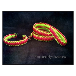 Custom Paracord Dog Collar and Leash (your choice of 2 colors)