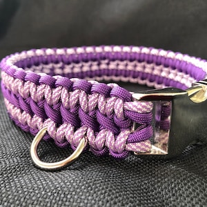 Pu&ograve; includere: Collare per cani intrecciato viola e bianco con fibbia e anello a D argentati.
