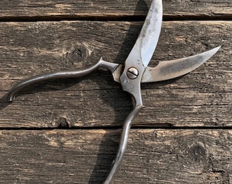 May include: A pair of silver-toned metal poultry shears with curved, sharp blades and a central screw mechanism. The tool features ergonomic, elongated handles designed for leverage, with a weathered metallic finish showing signs of use.