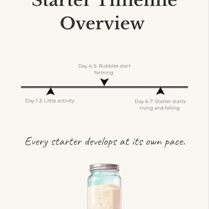 May include: A light beige graphic with the text "Starter Timeline Overview." A timeline shows the stages of a starter, including bubble formation and rising. A glass jar with a starter is at the bottom.