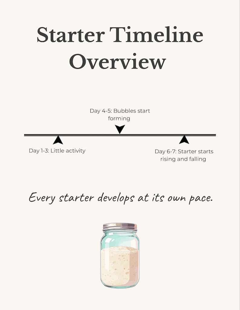 May include: A light beige graphic with the text "Starter Timeline Overview." A timeline shows the stages of a starter, including bubble formation and rising. A glass jar with a starter is at the bottom.