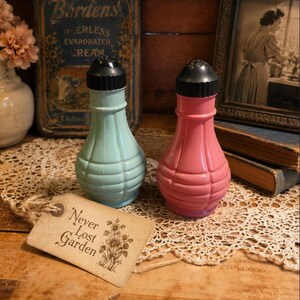 May include: Two vintage salt shakers, one light blue and one pink, with black tops. A tag with the text "Never Lost Garden" rests on a wooden surface. The background includes a vintage Borden's evaporated cream tin and a framed photograph.