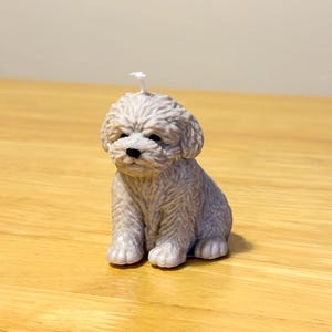 May include: A light grey candle in the shape of a seated puppy. The candle has a textured surface, with details like the dog's fur, eyes, and nose. A small white wick is visible on top. The candle is on a wooden surface.