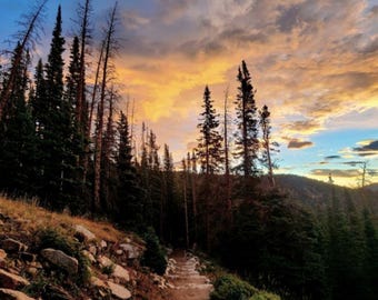 Mountain Trail Sunrise Photo, Rocky Mountain National Park Wall Art, Colorado Landscape Photography