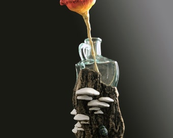 Hand-Sculpted Vase Tree Bark Mushrooms Fungi Bug WhimsicalSeed Pod 423