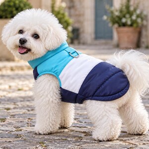 Peut inclure: Un petit chien blanc au pelage duveteux portant un gilet matelassé pour chien. Le gilet présente un design color-block avec un col turquoise vif, une section centrale blanche et un panneau arrière bleu marine foncé, avec un anneau en D en métal.