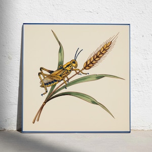 May include: A square wall art print featuring a detailed illustration of a yellow and brown grasshopper perched on a green stalk of wheat. The insect has long antennae and visible legs, set against a plain cream background with a thin blue border.